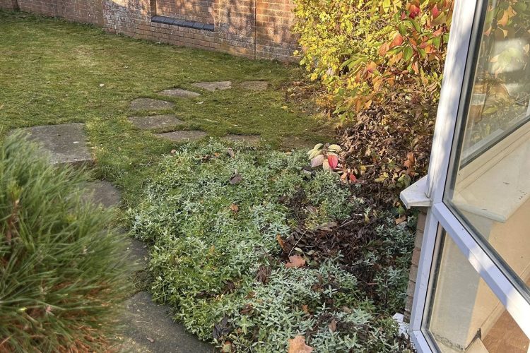 576303189_122142893210807655_7943058923300769241_n