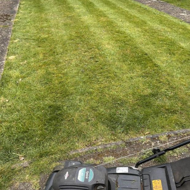 666299231_122157788984807655_8899591441552545063_n